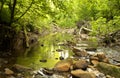 Kilton beck, cleveland