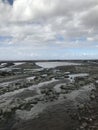 Kilve Beach  At Low Tide - Somerset, England, UK Royalty Free Stock Photo