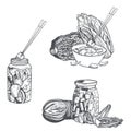 Kimchi. Korean cuisine. Sketch illustration