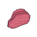 Kimchi, korean dish doodle icon, vector color illustration