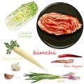 Kimchi, traditional korean food. Illustration on white. Ingredients for kimchi Royalty Free Stock Photo