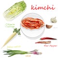 Kimchi, traditional korean food. Illustration on white. Ingredients for kimchi