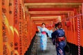 Kimono foreign women post acting to take photo holy torii line at Fushimi Inari Shrine
