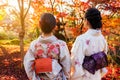 Kimono girls with autumn color, Kyoto Royalty Free Stock Photo