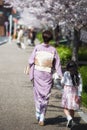 KImono mother and daughter enjoy sakura Royalty Free Stock Photo