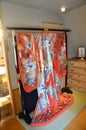 Kimono for show traveler