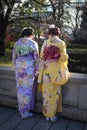 Kimono Royalty Free Stock Photo