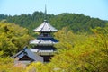 Japan - Yoshino Royalty Free Stock Photo