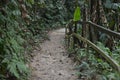 Kinabalu Park Kundasang