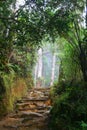 Kinabalu trekking trail Royalty Free Stock Photo