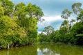 Kinabatangan river, Malaysia, Borneo