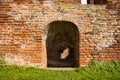 A kind of doorway at the ruin castle Teylingen Sassenheim