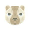 The kind face of a brown bear. Watercolor illustration highlighted on a white background. A set OF ANIMAL FACES Royalty Free Stock Photo