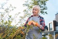 Kind nice old woman working in the garden