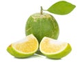 Kind of orange. fresh green oranges on white background. Royalty Free Stock Photo