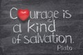 Kind of salvation heart Royalty Free Stock Photo