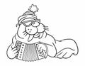 Kind Walrus in a winter hat plays the button accordion. Cartoon walrus musician for coloring. Vector outline image of a cartoon