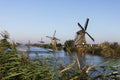 Kinderdijk Windmills on the canal Royalty Free Stock Photo