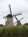 Two dutch windmills from 1740 with reed in front at Kinderdijk. Royalty Free Stock Photo