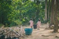 Students help to remove rubbish from the classroom to pile waste