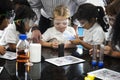 Kindergarten students learning planting experiment Royalty Free Stock Photo