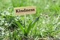 Kindness wooden sign