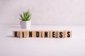 KINDNESS word made with building blocks on white