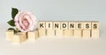 Kindness Word Written In Wooden Cube Royalty Free Stock Photo