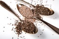 2 kinds of Chia seeds on old vintage silver spoons Royalty Free Stock Photo