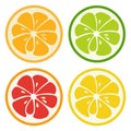 Kinds of citrus fruits. illustration