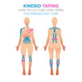 Kinesio taping illustration. How using and how to cut the kinesiology tape. Female body