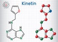 Kinetin N6-furfuryladenine molecule. It is plant hormone.Structural chemical formula and molecule model. Sheet of paper in a
