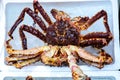 King Alaska crab on ice basket in fresh market, the crab in brown color big crab, one king crab overturn on ice basket and both so Royalty Free Stock Photo