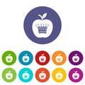 King apple icons set vector color Royalty Free Stock Photo