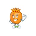 King apricot fruit in the cartoon shape Royalty Free Stock Photo