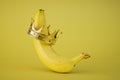 the king of bananas. a banana in a crown on a yellow background. 3D render