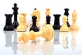 King chess mate Royalty Free Stock Photo