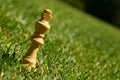 King chess piece on grass Royalty Free Stock Photo