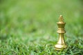 King chess pieces on grass filed Royalty Free Stock Photo