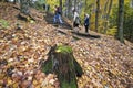 Hiking uphill with steeps on a public park in Ontario. Focus on the foreground Royalty Free Stock Photo