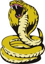 King Cobra