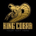 King cobra Gold head vector,  head snake,mascot logo design on black background Royalty Free Stock Photo
