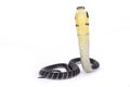 King cobra, Ophiophagus hannah Royalty Free Stock Photo