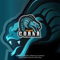 A king cobra ready to attack. With poisonous venom. Cobra snake mascot logo Royalty Free Stock Photo