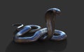 King Cobra Snake with Clipping Path