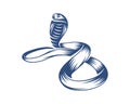 King Cobra snake logo design vector, Animal graphic, Snake design Template illustration Royalty Free Stock Photo