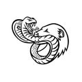 King Cobra Snake and Mongoose Fighting Biting and Attacking Mascot Retro Black and White Royalty Free Stock Photo