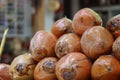 King Coconut seen with cling film wrapping in Dubai streets