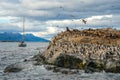 King Cormorant colony, Beagle Channel, Argentina - Chile