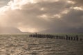 King Cormorant colony, Old Dock, Puerto Natales, Antarctic Patagonia, Chile. Sunset Royalty Free Stock Photo